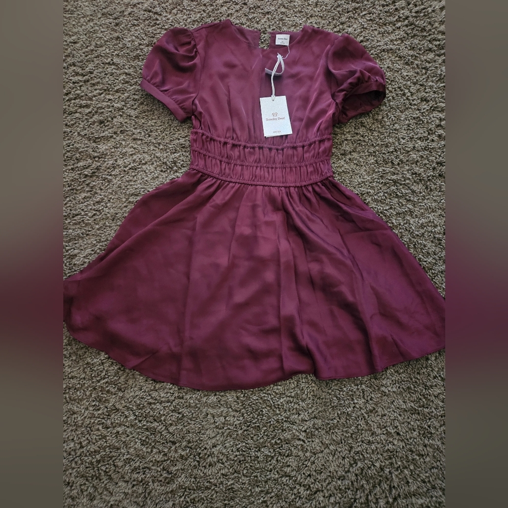 Aritizia Sunday Best Anderson Satin Dress - Size XS - Color : Sumac Burgundy